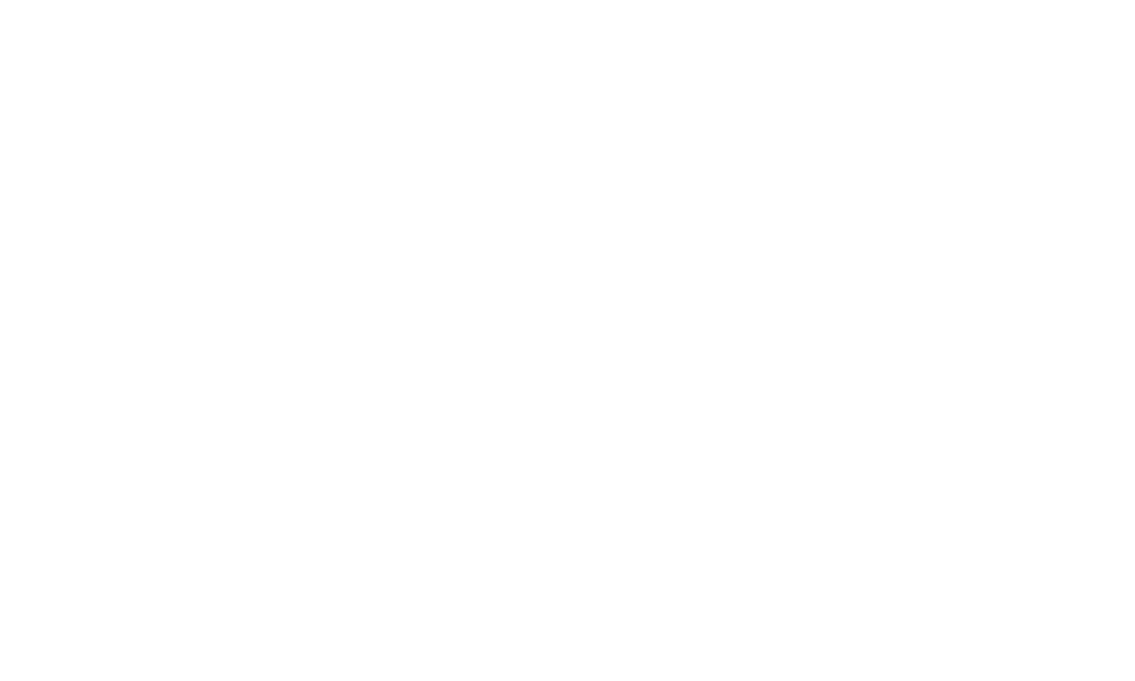 logo dm vastgoedexpert wit